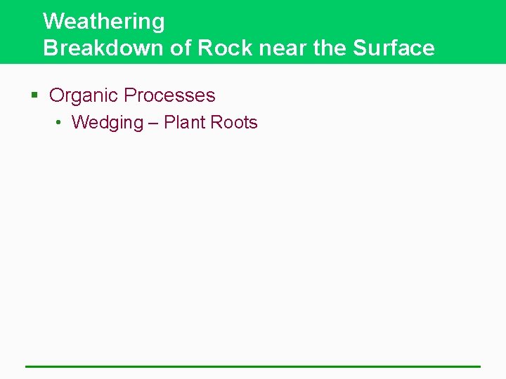 Weathering Breakdown of Rock near the Surface § Organic Processes • Wedging – Plant