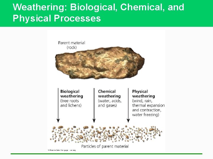 Weathering: Biological, Chemical, and Physical Processes 