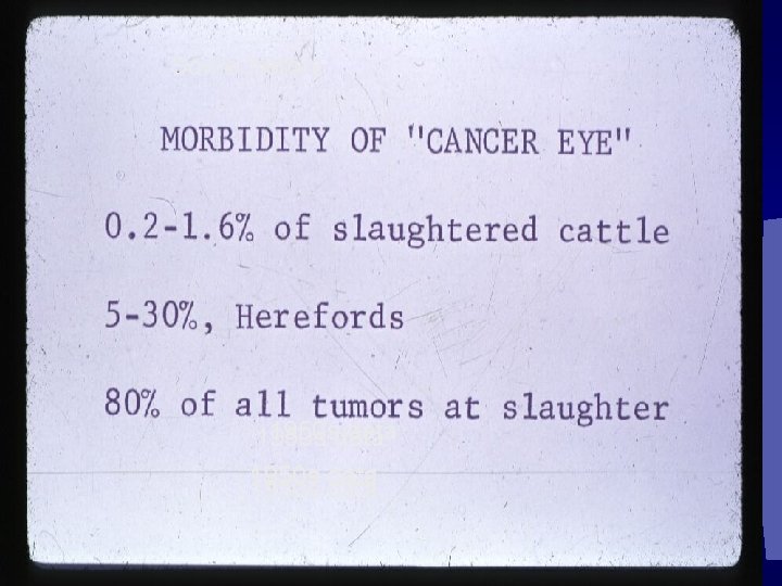 Some history 1950 sdata 1950 s data 