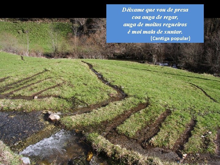 Déixame que vou de presa coa auga de regar, auga de moitos regueiros é