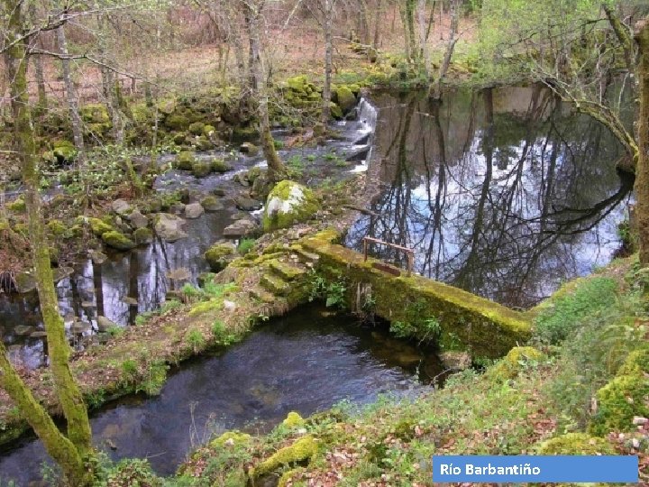 Río Barbantiño 