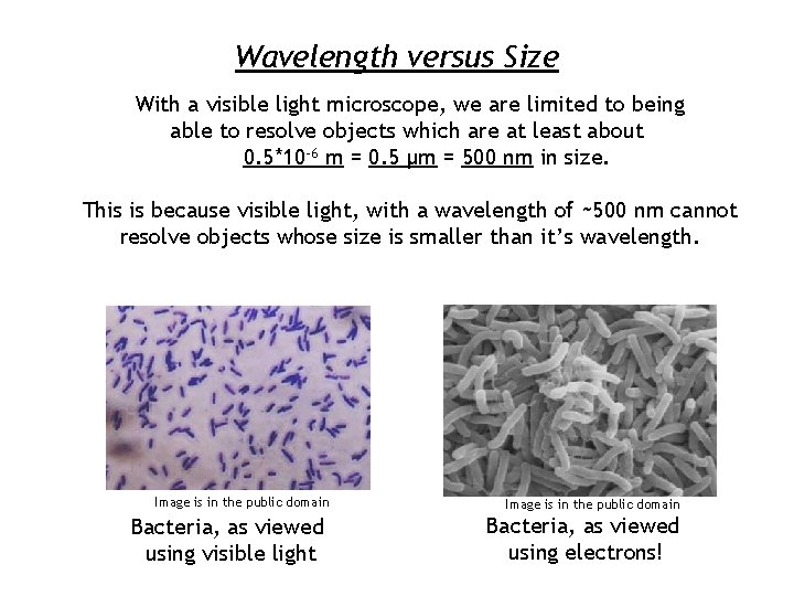 Wavelength versus Size With a visible light microscope, we are limited to being able