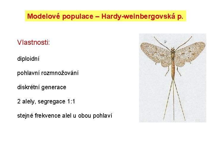 Modelové populace – Hardy-weinbergovská p. Vlastnosti: diploidní pohlavní rozmnožování diskrétní generace 2 alely, segregace Modelové populace – Hardy-weinbergovská p. Vlastnosti: diploidní pohlavní rozmnožování diskrétní generace 2 alely, segregace