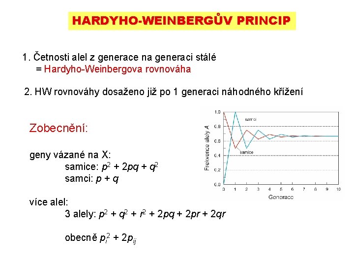 HARDYHO-WEINBERGŮV PRINCIP 1. Četnosti alel z generace na generaci stálé = Hardyho-Weinbergova rovnováha 2. HARDYHO-WEINBERGŮV PRINCIP 1. Četnosti alel z generace na generaci stálé = Hardyho-Weinbergova rovnováha 2.