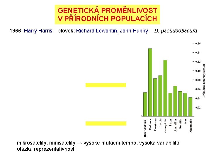 GENETICKÁ PROMĚNLIVOST V PŘÍRODNÍCH POPULACÍCH 1966: Harry Harris – člověk; Richard Lewontin, John Hubby GENETICKÁ PROMĚNLIVOST V PŘÍRODNÍCH POPULACÍCH 1966: Harry Harris – člověk; Richard Lewontin, John Hubby
