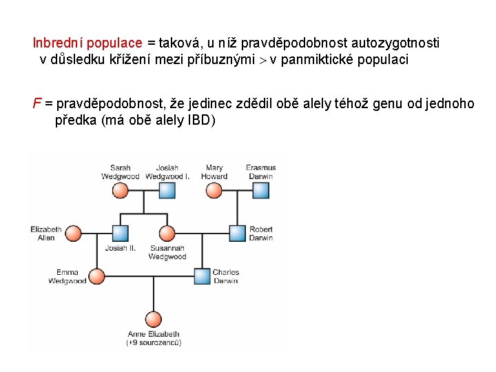 Inbrední populace = taková, u níž pravděpodobnost autozygotnosti v důsledku křížení mezi příbuznými v Inbrední populace = taková, u níž pravděpodobnost autozygotnosti v důsledku křížení mezi příbuznými v
