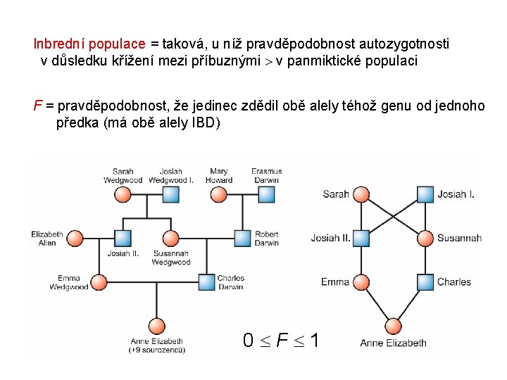 Inbrední populace = taková, u níž pravděpodobnost autozygotnosti v důsledku křížení mezi příbuznými v Inbrední populace = taková, u níž pravděpodobnost autozygotnosti v důsledku křížení mezi příbuznými v