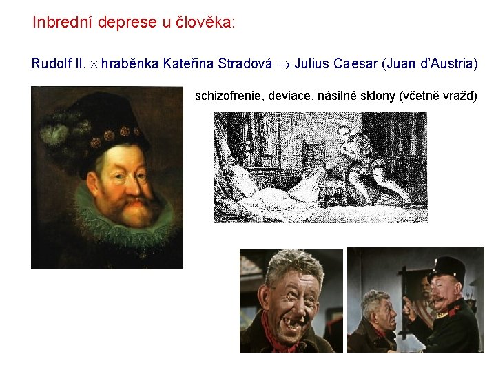 Inbrední deprese u člověka: Rudolf II. hraběnka Kateřina Stradová Julius Caesar (Juan d’Austria) schizofrenie, Inbrední deprese u člověka: Rudolf II. hraběnka Kateřina Stradová Julius Caesar (Juan d’Austria) schizofrenie,