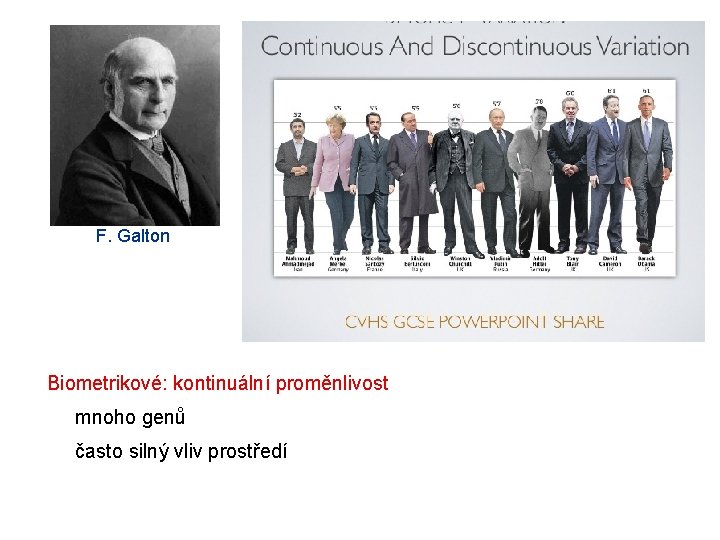 F. Galton Biometrikové: kontinuální proměnlivost mnoho genů často silný vliv prostředí F. Galton Biometrikové: kontinuální proměnlivost mnoho genů často silný vliv prostředí