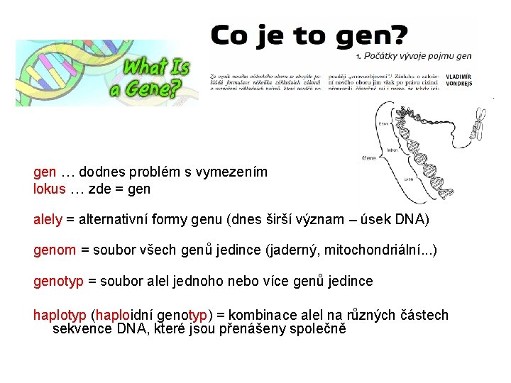 gen … dodnes problém s vymezením lokus … zde = gen alely = alternativní gen … dodnes problém s vymezením lokus … zde = gen alely = alternativní