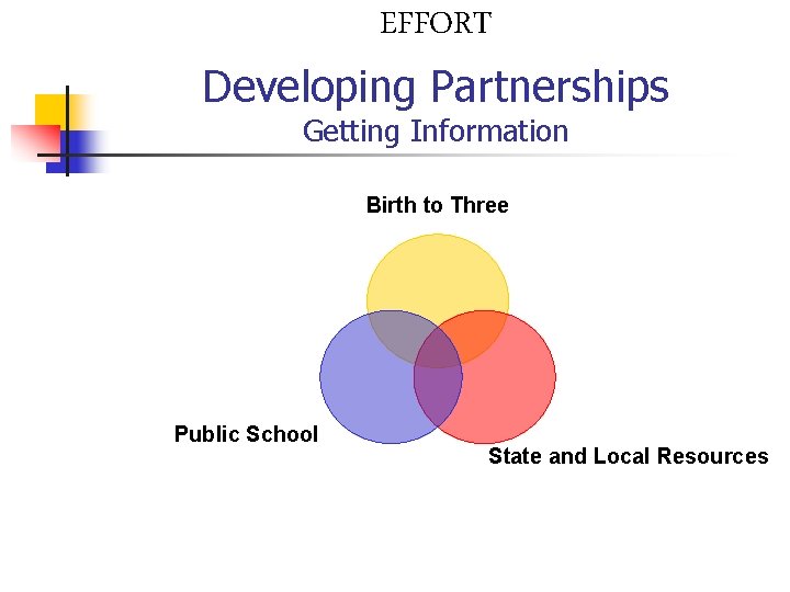 EFFORT Developing Partnerships Getting Information Birth to Three Public School State and Local Resources