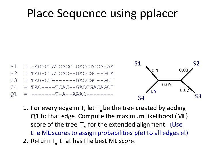 Place Sequence using pplacer S 1 S 2 S 3 S 4 Q 1
