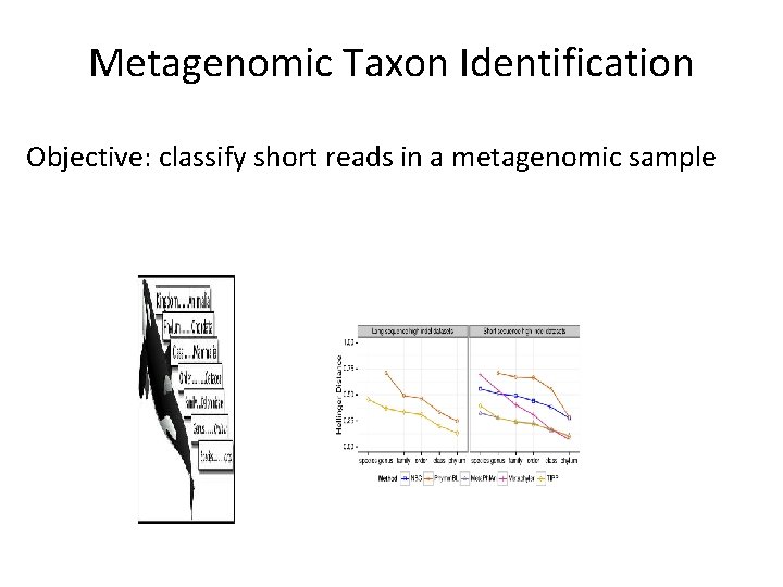 Metagenomic Taxon Identification Objective: classify short reads in a metagenomic sample 