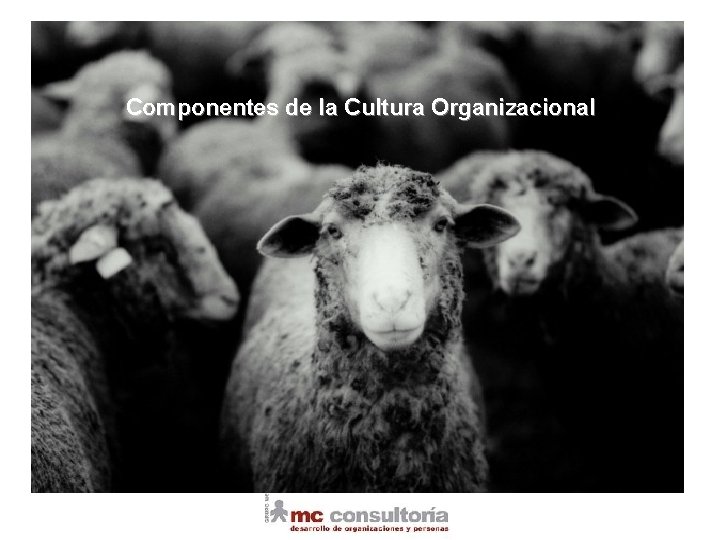 Añadir texto Componentes de la Cultura Organizacional 