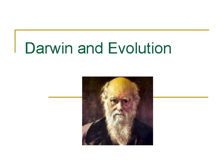 Darwin and Evolution 