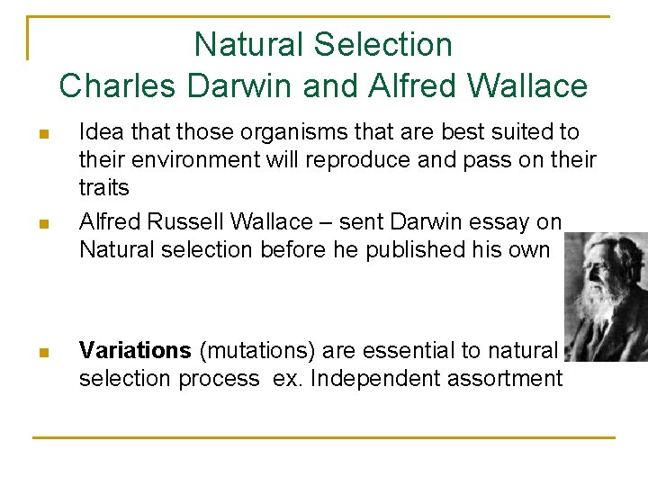 Natural Selection Charles Darwin and Alfred Wallace n n n Idea that those organisms