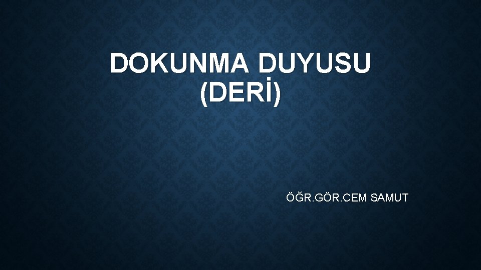 DOKUNMA DUYUSU (DERİ) ÖĞR. GÖR. CEM SAMUT DOKUNMA DUYUSU (DERİ) ÖĞR. GÖR. CEM SAMUT