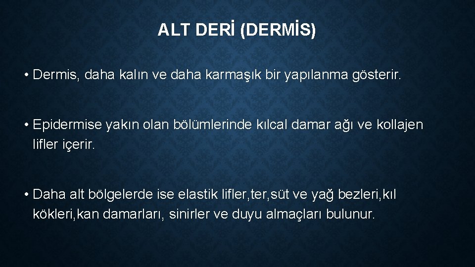 ALT DERİ (DERMİS) • Dermis, daha kalın ve daha karmaşık bir yapılanma gösterir. • ALT DERİ (DERMİS) • Dermis, daha kalın ve daha karmaşık bir yapılanma gösterir. •