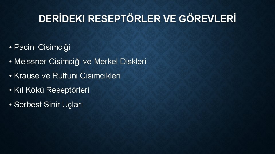 DERİDEKI RESEPTÖRLER VE GÖREVLERİ • Pacini Cisimciği • Meissner Cisimciği ve Merkel Diskleri • DERİDEKI RESEPTÖRLER VE GÖREVLERİ • Pacini Cisimciği • Meissner Cisimciği ve Merkel Diskleri •