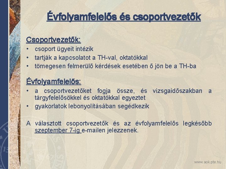 Évfolyamfelelős és csoportvezetők Csoportvezetők: • csoport ügyeit intézik • tartják a kapcsolatot a TH-val,