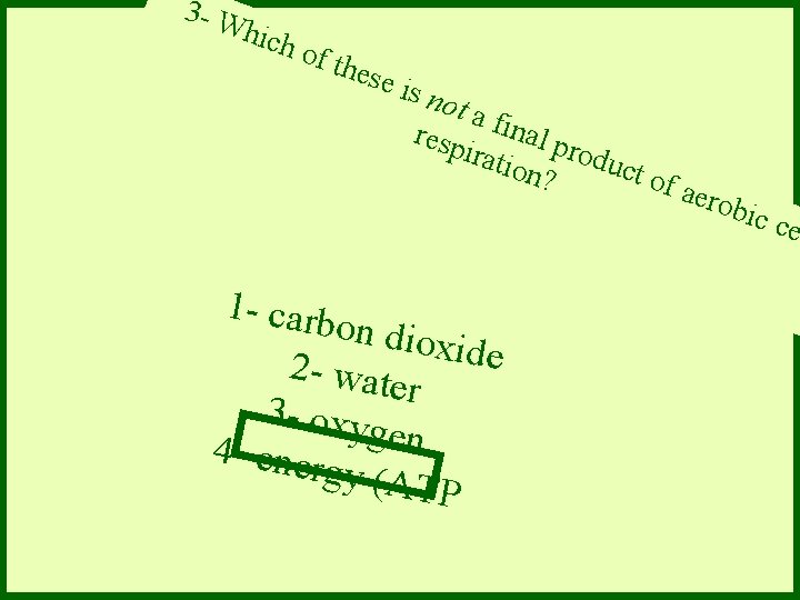3 - W hich of th ese is no taf resp inal p rodu