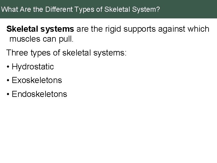 What Are the Different Types of Skeletal System? Skeletal systems are the rigid supports