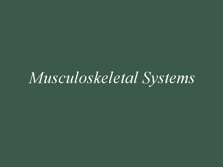 Musculoskeletal Systems Musculoskeletal Systems