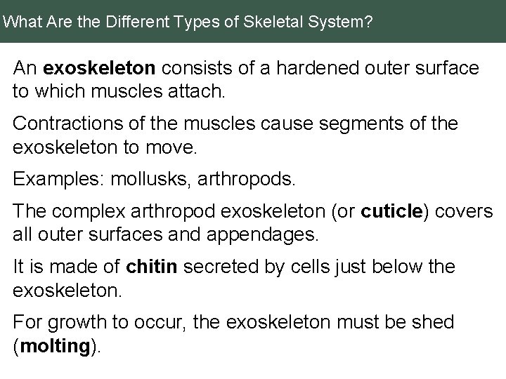 What Are the Different Types of Skeletal System? An exoskeleton consists of a hardened