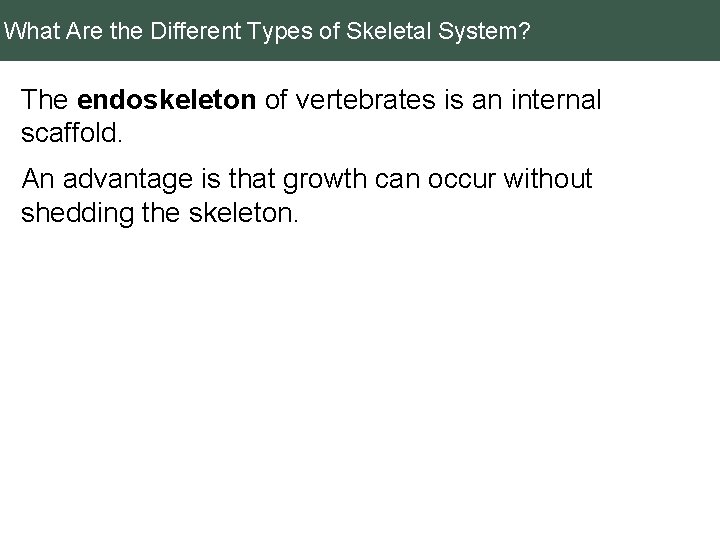 What Are the Different Types of Skeletal System? The endoskeleton of vertebrates is an