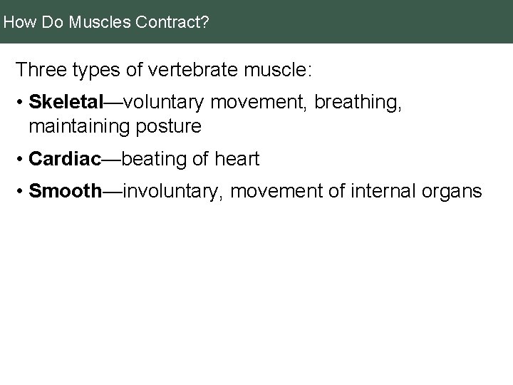 How Do Muscles Contract? Three types of vertebrate muscle: • Skeletal—voluntary movement, breathing, maintaining