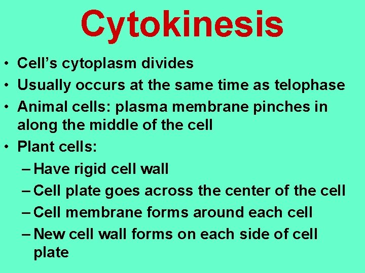 Cytokinesis • Cell’s cytoplasm divides • Usually occurs at the same time as telophase