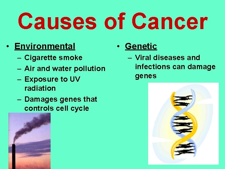 Causes of Cancer • Environmental – Cigarette smoke – Air and water pollution –