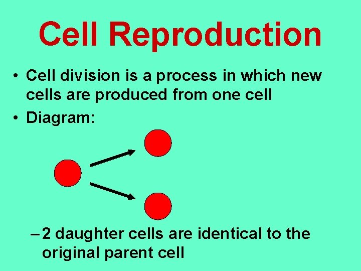 Cell Reproduction • Cell division is a process in which new cells are produced