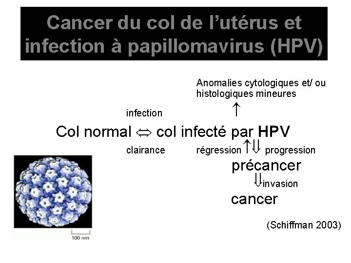 Cancer du col de l’utérus et infection à papillomavirus (HPV) Anomalies cytologiques et/ ou