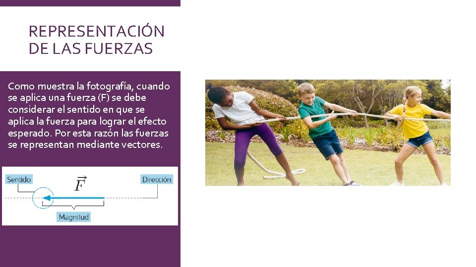 REPRESENTACIÓN DE LAS FUERZAS Como muestra la fotografía, cuando se aplica una fuerza (F) REPRESENTACIÓN DE LAS FUERZAS Como muestra la fotografía, cuando se aplica una fuerza (F)