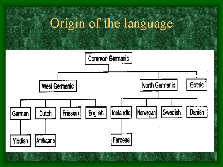 Origin of the language Origin of the language