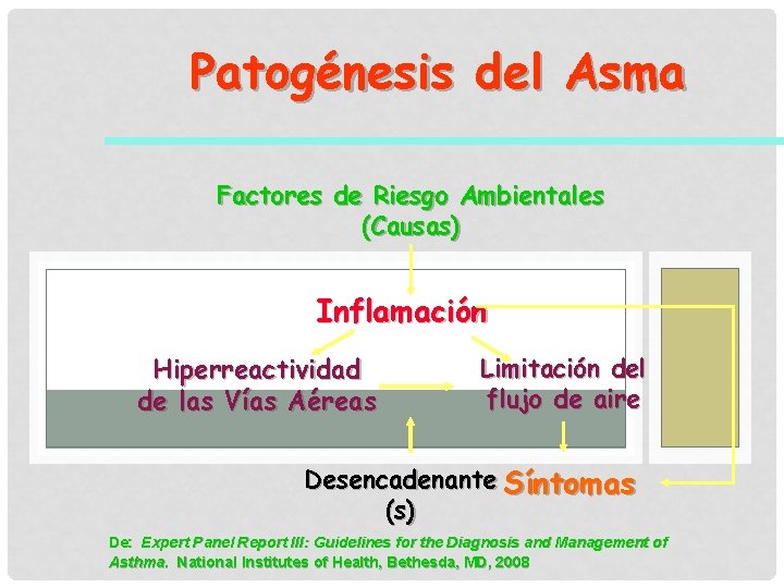 Patogénesis del Asma Factores de Riesgo Ambientales (Causas) Inflamación Hiperreactividad de las Vías Aéreas