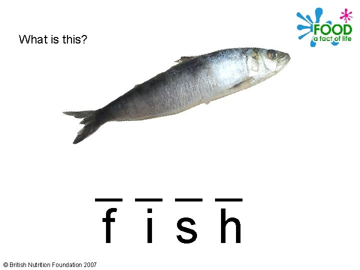 What is this? ____ f i sh © British Nutrition Foundation 2007 