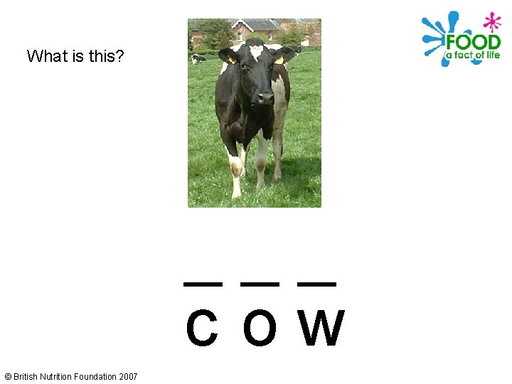 What is this? ___ cow © British Nutrition Foundation 2007 