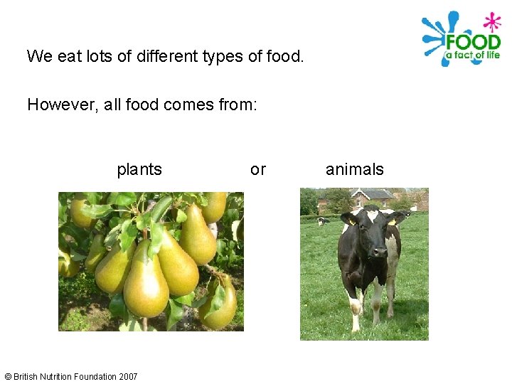 We eat lots of different types of food. However, all food comes from: plants