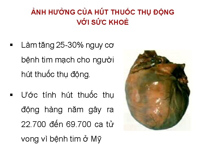 ẢNH HƯỞNG CỦA HÚT THUỐC THỤ ĐỘNG VỚI SỨC KHOẺ § Làm tăng 25