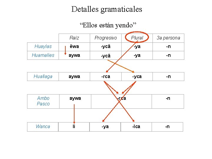 Detalles gramaticales “Ellos están yendo” Raíz Progresivo Plural 3 a persona Huaylas ëwa -ycä