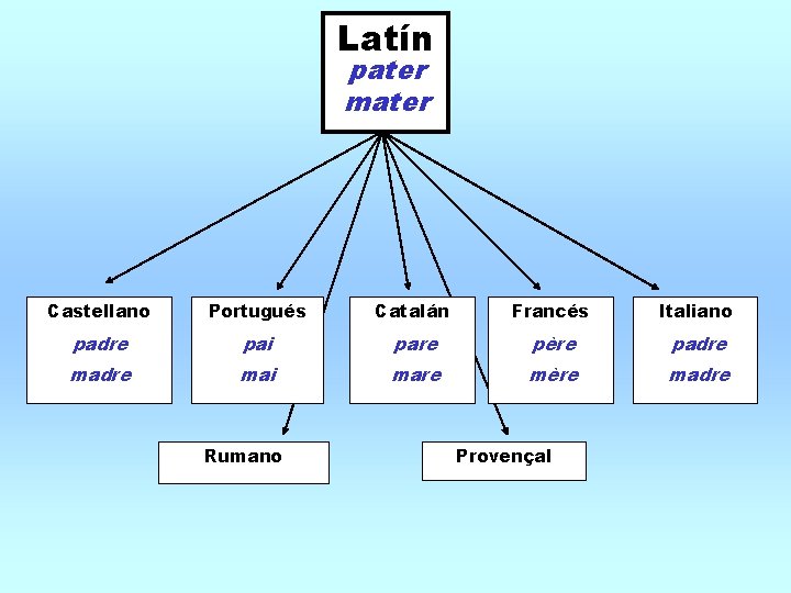 Latín pater mater Castellano Portugués Catalán Francés Italiano padre pai pare père padre mai