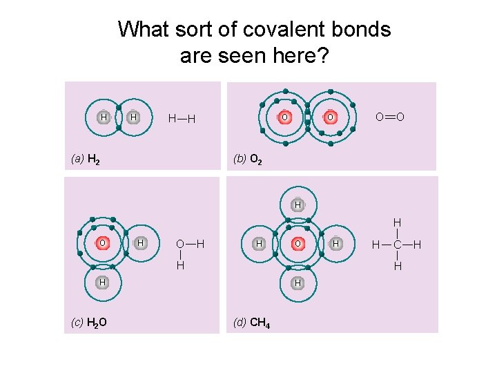 What sort of covalent bonds are seen here? H H O O (b) O