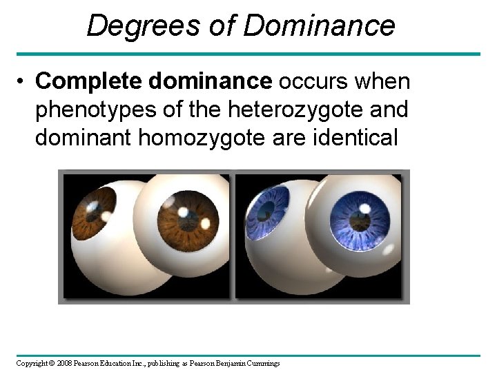 Degrees of Dominance • Complete dominance occurs when phenotypes of the heterozygote and dominant