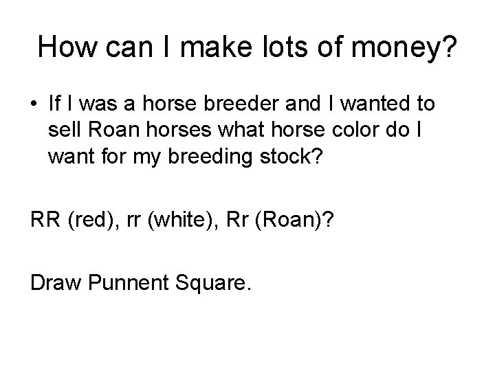 How can I make lots of money? • If I was a horse breeder