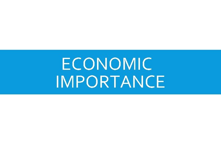 ECONOMIC IMPORTANCE 