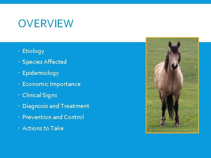 OVERVIEW Etiology Species Affected Epidemiology Economic Importance Clinical Signs Diagnosis and Treatment Prevention and