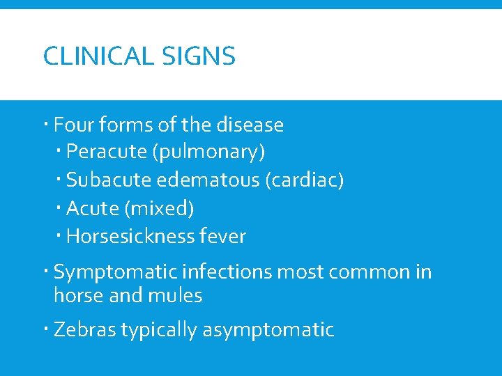 CLINICAL SIGNS Four forms of the disease Peracute (pulmonary) Subacute edematous (cardiac) Acute (mixed)