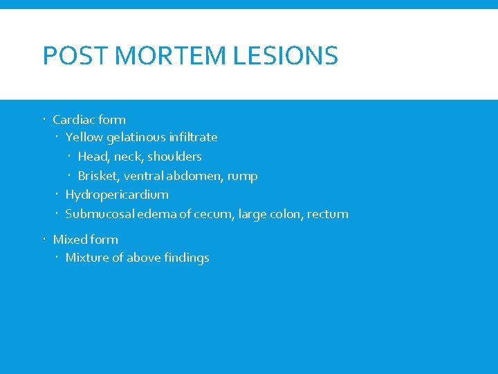 POST MORTEM LESIONS Cardiac form Yellow gelatinous infiltrate Head, neck, shoulders Brisket, ventral abdomen,